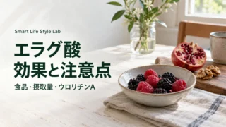 「エラグ酸 効果と注意点」の文字と、ベリー・ザクロ・クルミの食品イメージ